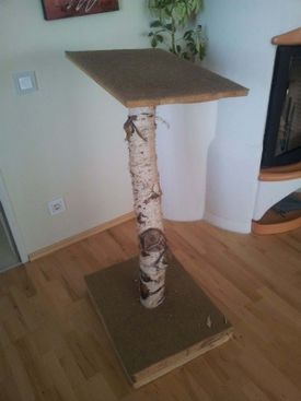 Kratzbaum